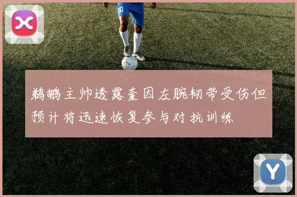 鹈鹕主帅透露奎因左腕韧带受伤但预计将迅速恢复参与对抗训练