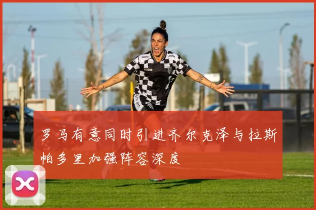 罗马有意同时引进齐尔克泽与拉斯帕多里加强阵容深度